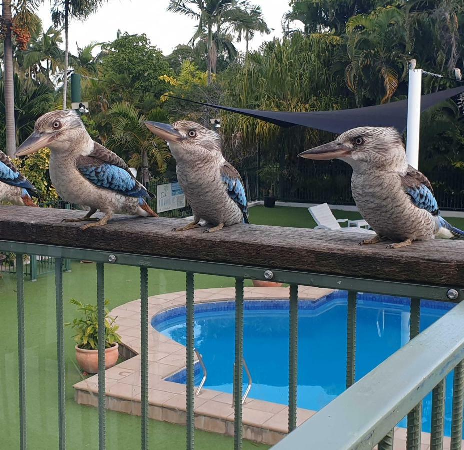 Magnetic Island Resort, Sleeps 3, Free Wifi 넬리베이 외부 사진